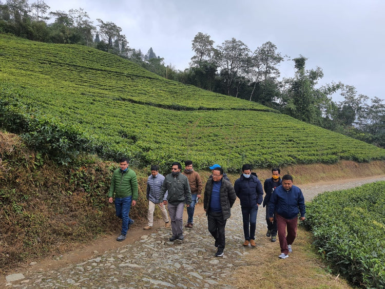 Road Survey for Upgradation at Temi Tea Estate Initiated