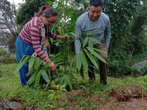 World Bamboo Day Celebrated at Temi Tea Estate Bamboo Unit