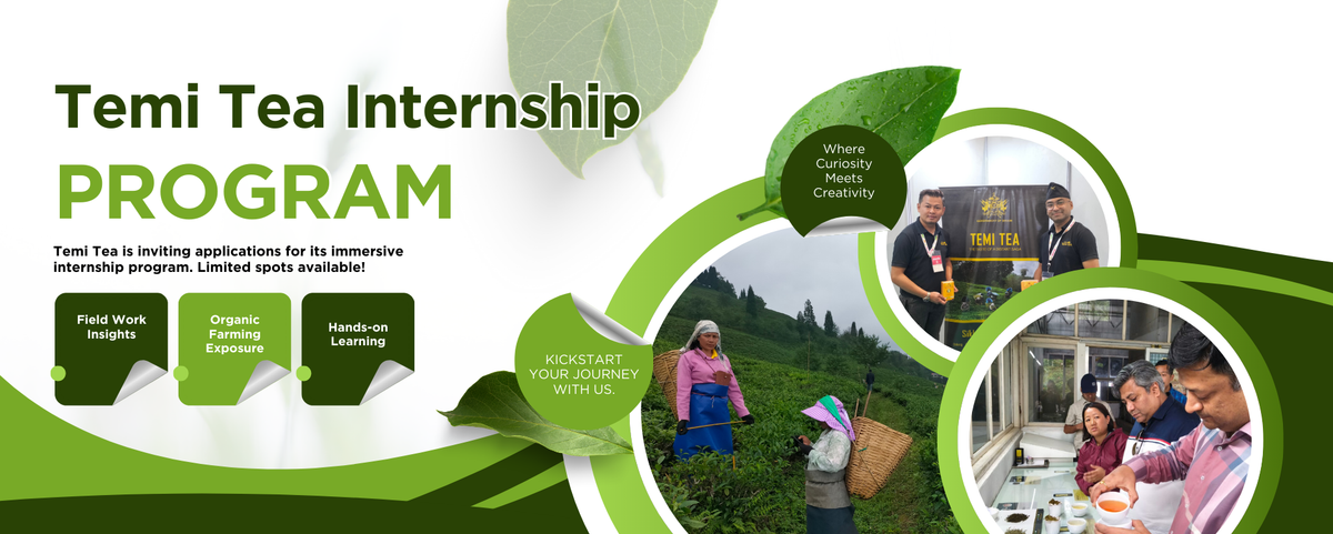 Intern Tea Making Internship – Temi Tea