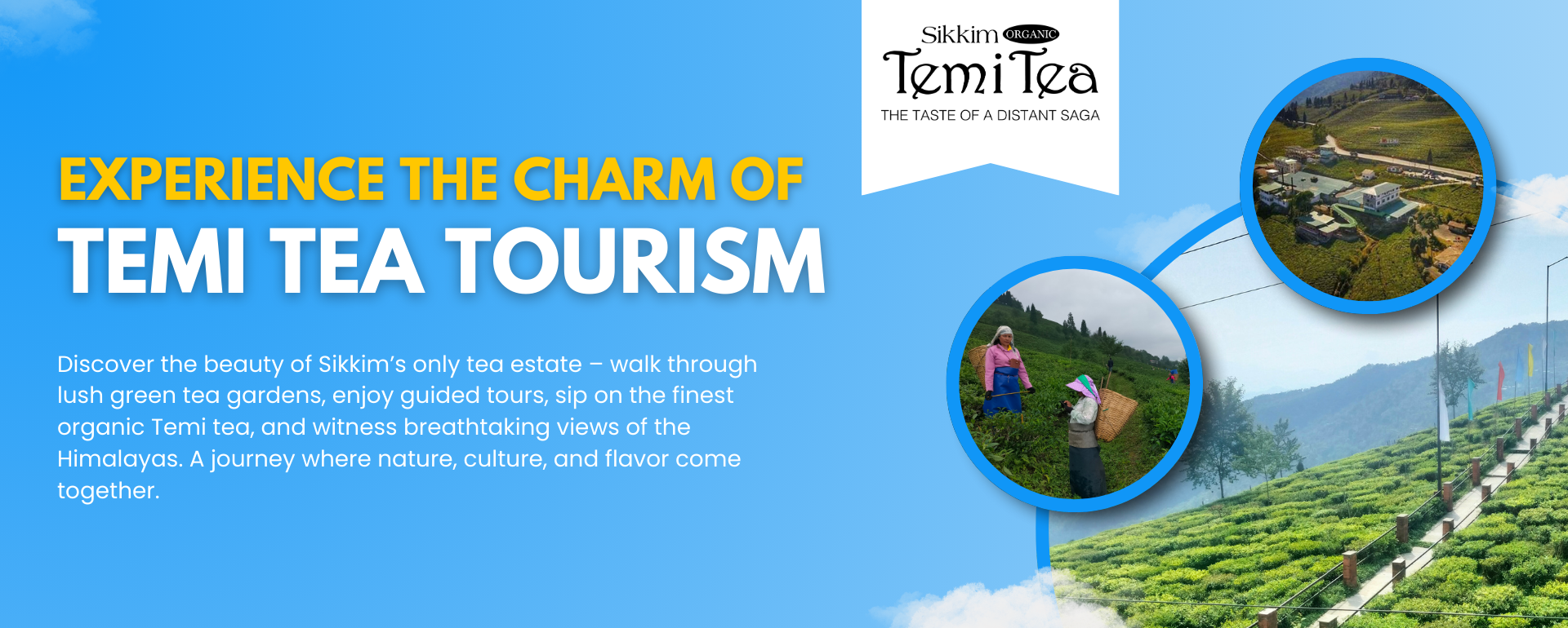 Tea Tourism – Temi Tea